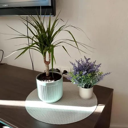 Casa Sole Prázdninový dům *